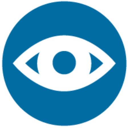 Vision Icon